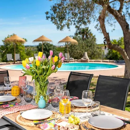 Amazing Villa With Pool Near Beach Villa *
