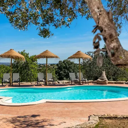 Amazing Villa With Pool Near Beach Villa